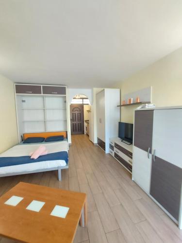 dal travel Olympia Studio Ocean View