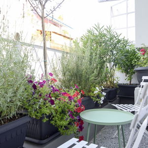 Sejur Athenian Sensations Apartments & Suites vacanta Atena