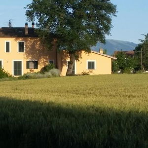 Hotel B&B Le Rose cazare Spello