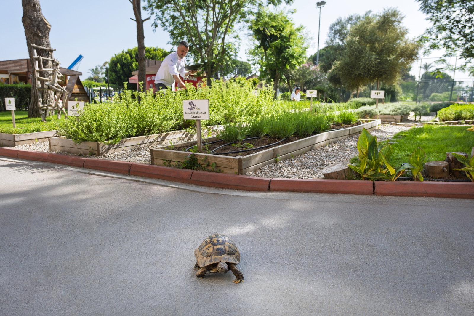 Hotel Asteria Family Resort Belek