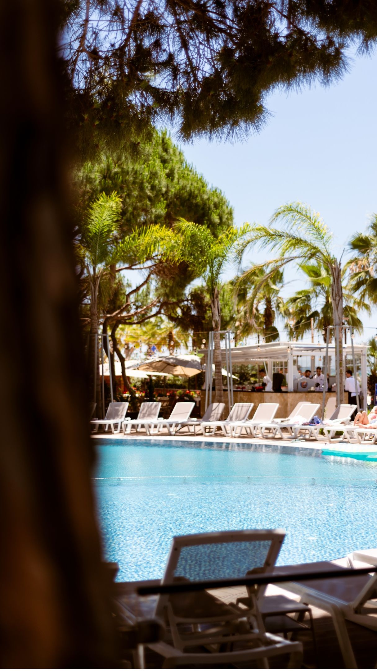 Vm Resort & Spa