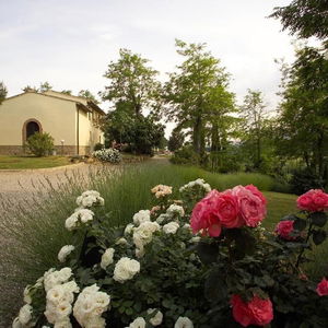 Hotel Il Rosolaccio cazare San Gimignano