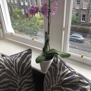 Hotel Sheridan Guest House cazare Edinburgh