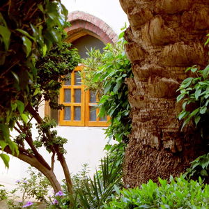 Hotel Hotel Sheherazade cazare Luxor