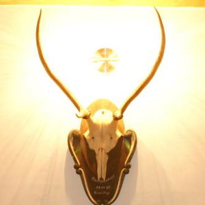 Hotel Appartementhaus Schmiedhof cazare Zell am See