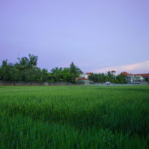 Hotel The Awandari Villas Seminyak cazare Seminyak