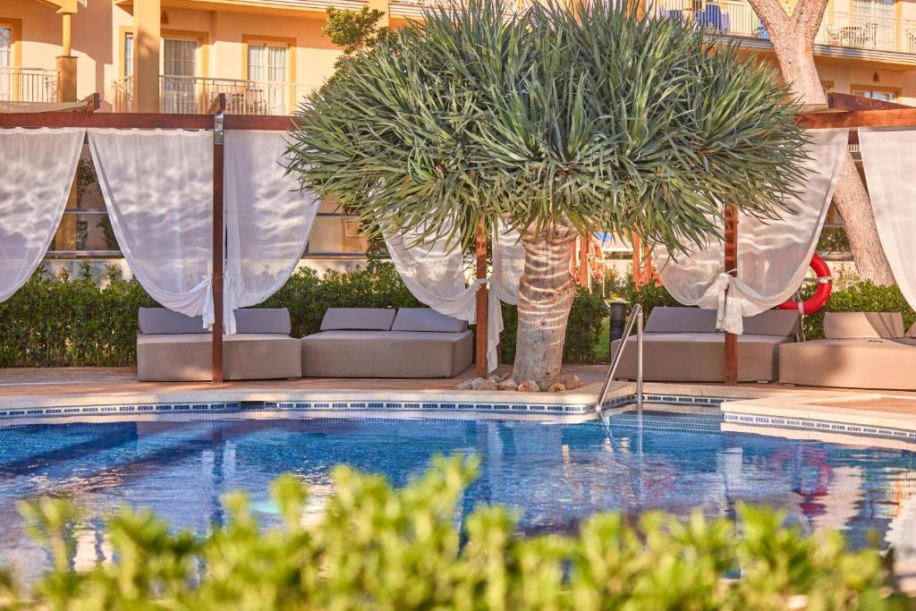 dal travel Zafiro Mallorca & Spa