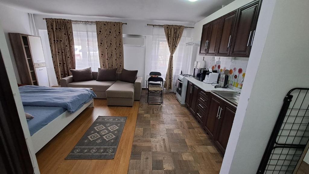 Hotel Garsoniera La Felix