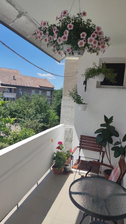 Apartament Victoria
