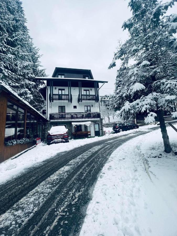 Hotel Cabana Din Poienita