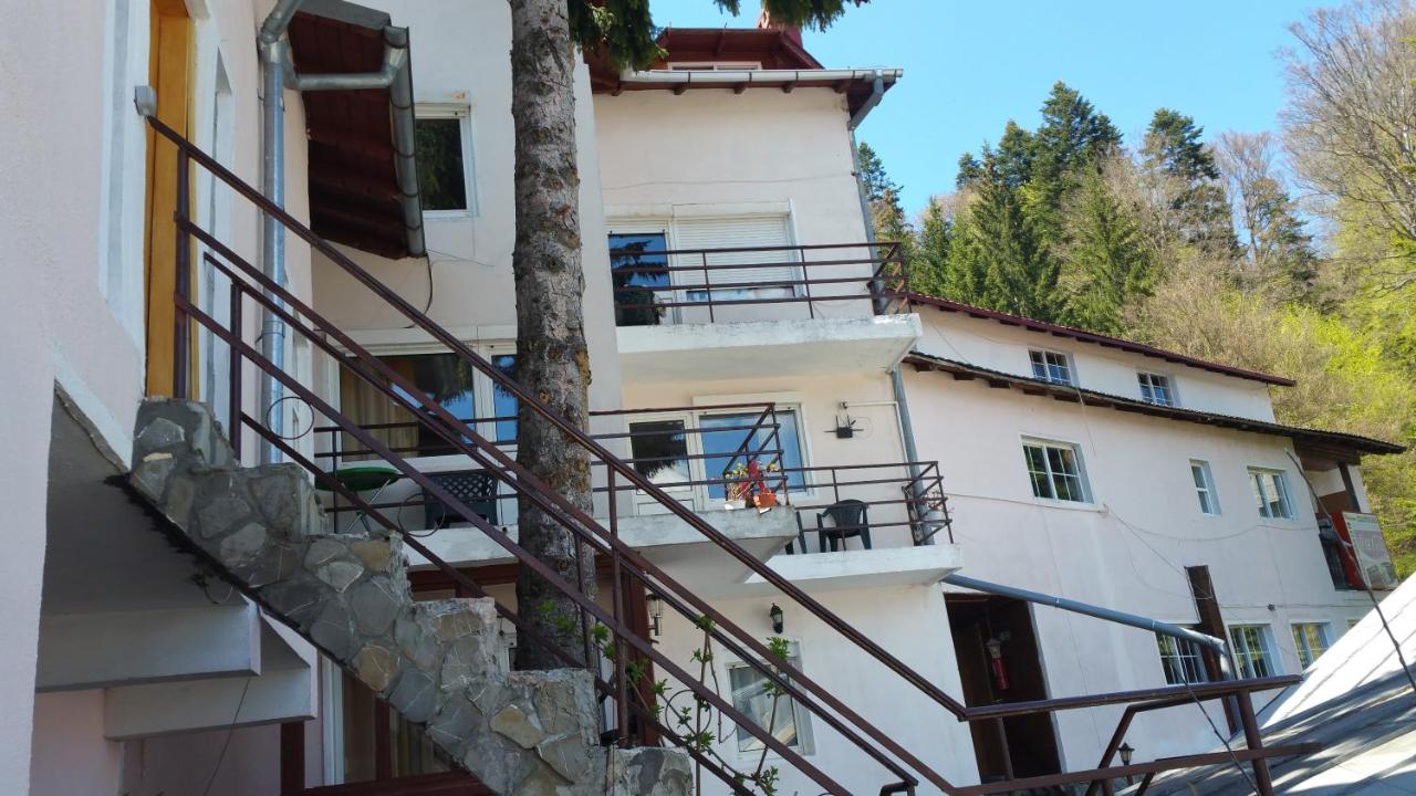 Apartamente Casa Cristina in Pensiune la 400m de Pârtia de ski