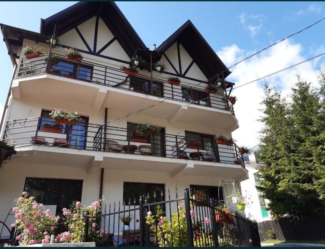 Hotel Vila Monica