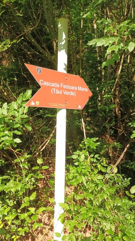 Hotel Apartament Elvira Baile Herculane