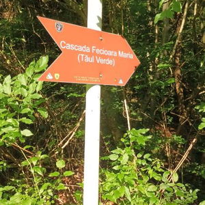 Hotel Apartament Elvira Baile Herculane cazare Baile Herculane