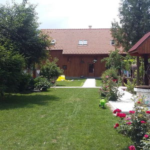 Hotel Pensiunea Albinuta cazare Covasna