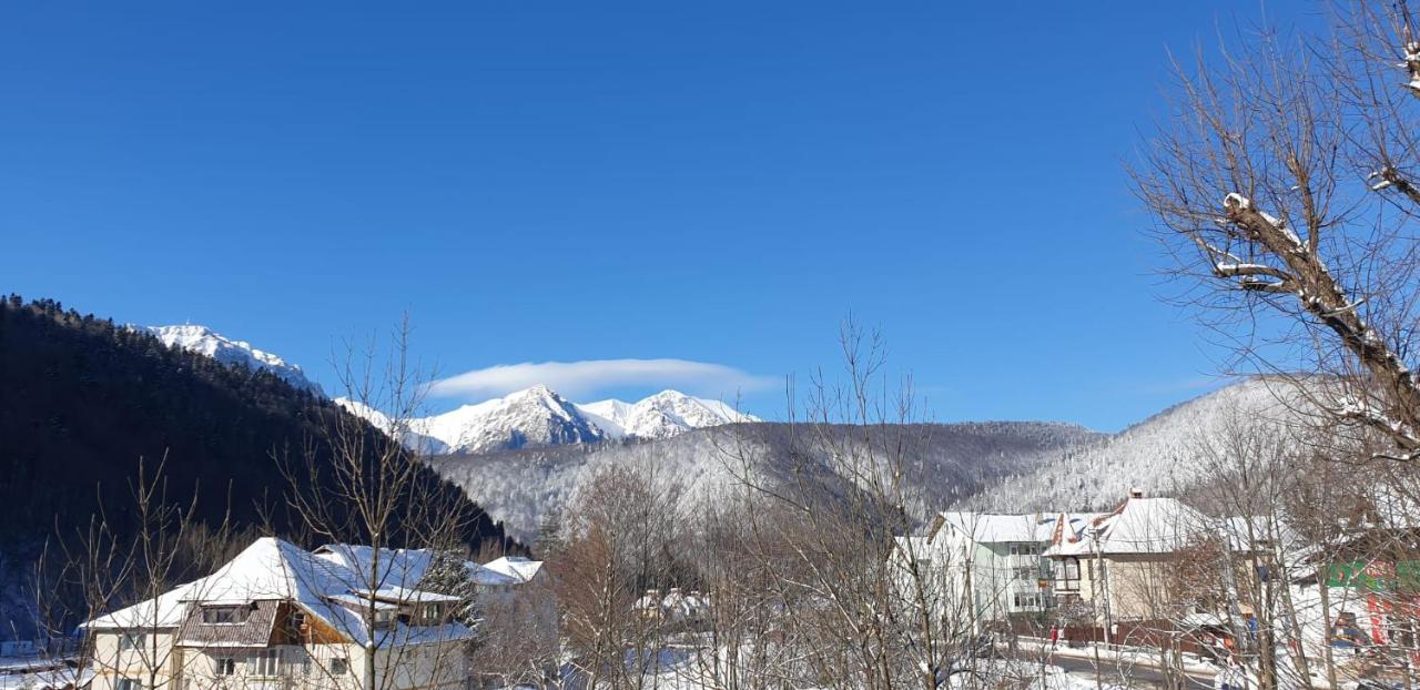 Azuga Apartament Super View & Ski