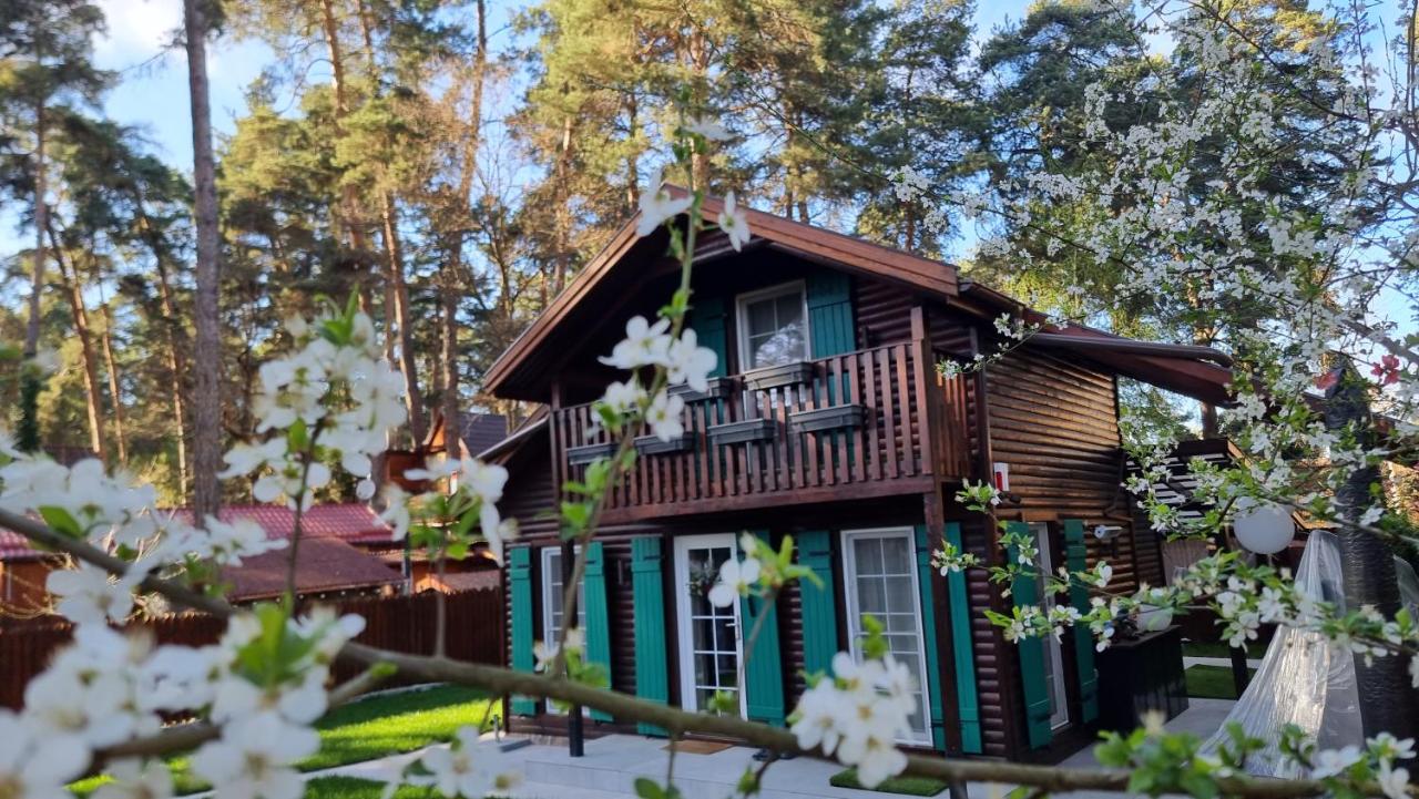 Hotel Casuta Din Povesti