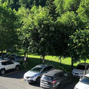 Hotel Albergo Edelweiss cazare Pre Saint Didier