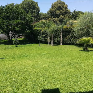 Sejur Villa Feluchia vacanta Catania