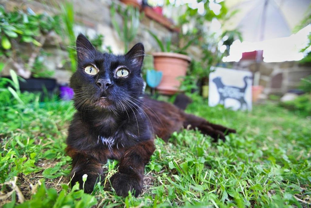 Hotel Apartments Baredi