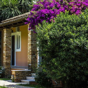 Hotel Folies Corfu Hotel Apartments cazare Alepou