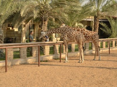 Hotel Emirates Park Resort