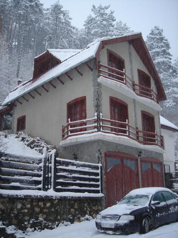 Hotel Pensiunea Rem's