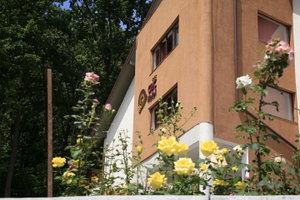Hotel Hotel Ciric cazare Iasi