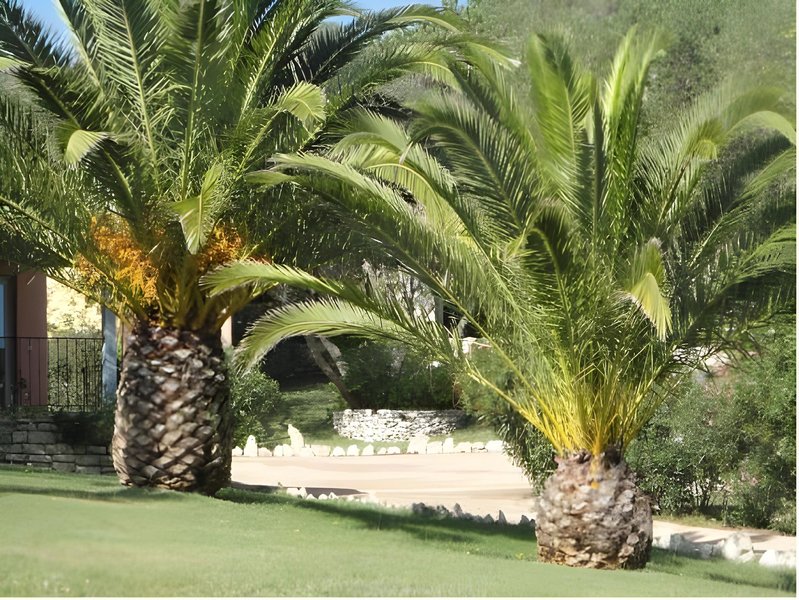 Hotel Maora Village