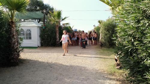 Hotel Campeggio Palermo Camping Praia Mare