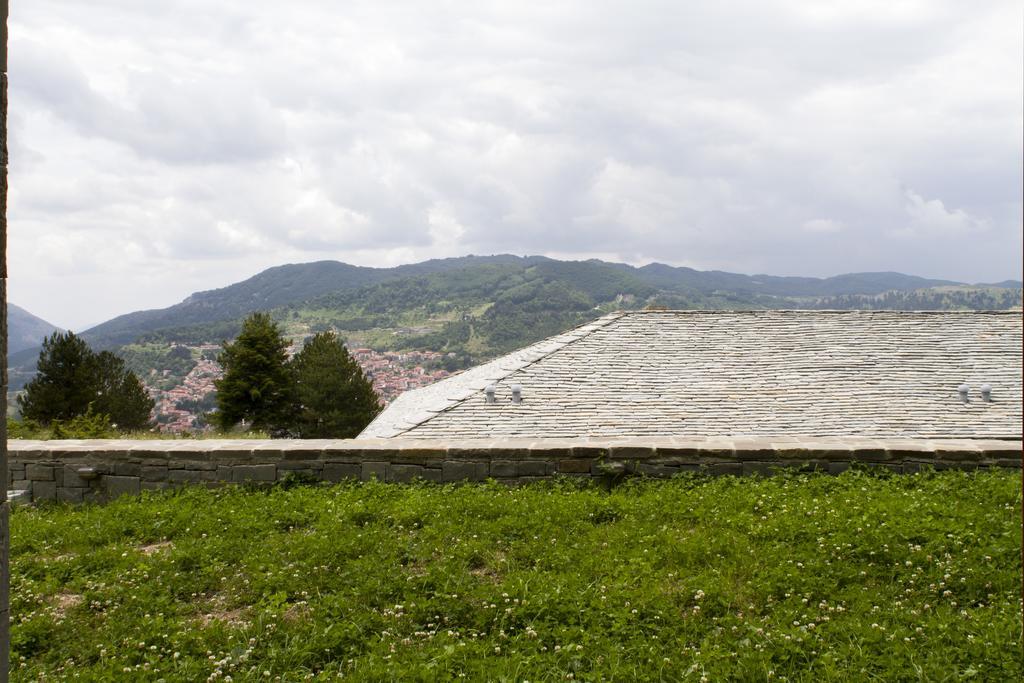 Hotel Grand Forest Metsovo