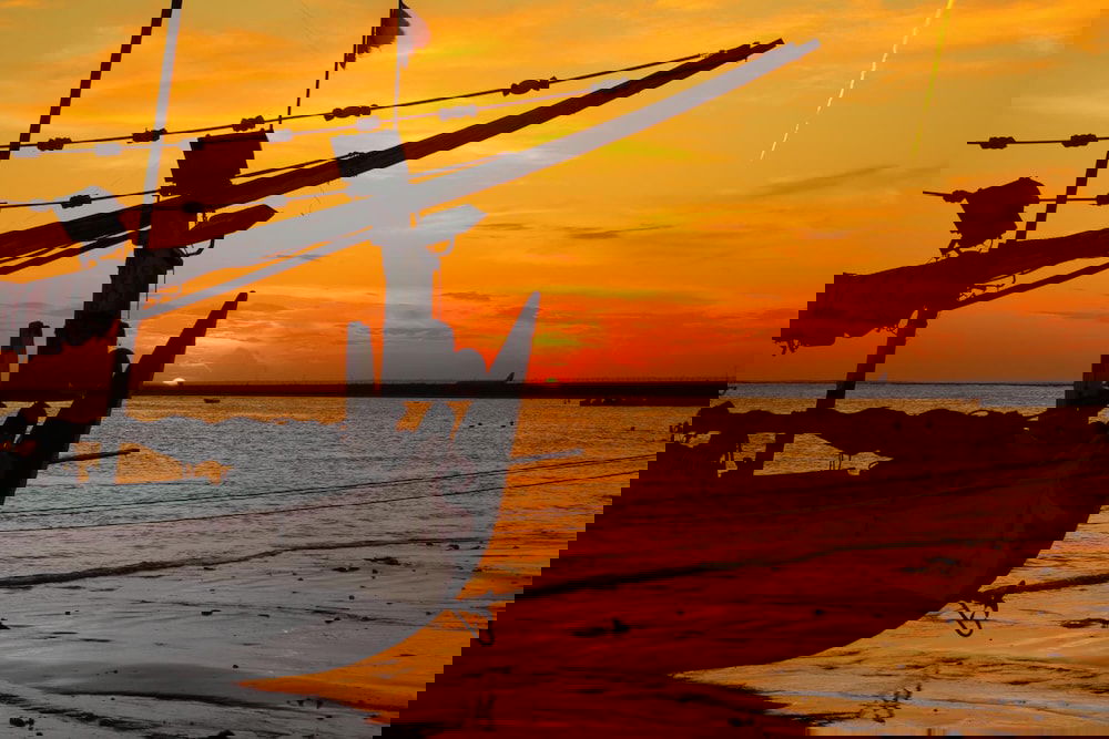 Hotel Timbis Homestay Bali