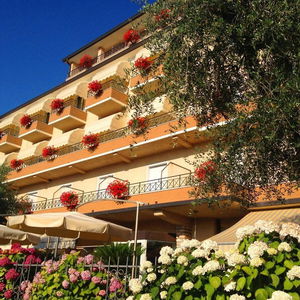 Hotel Pace cazare Torri del Benaco