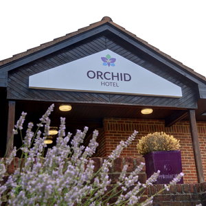 Hotel Orchid Epsom, Sure Hotel Collection By Best Western cazare Epsom