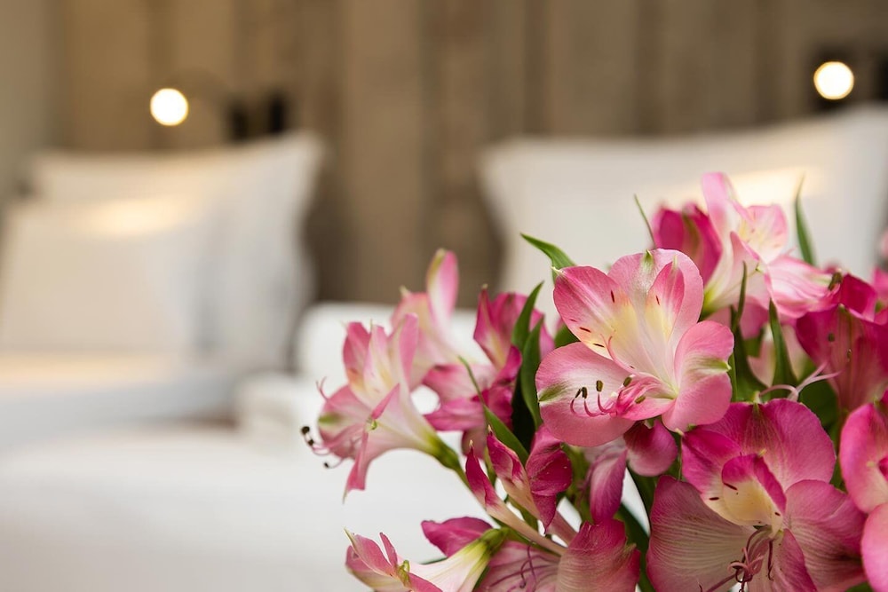 Abrazo Sofia Hotel By Hmg
