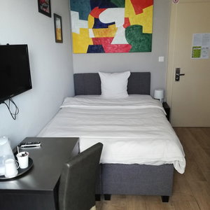 Hotel Parc Et Lac cazare Montreux
