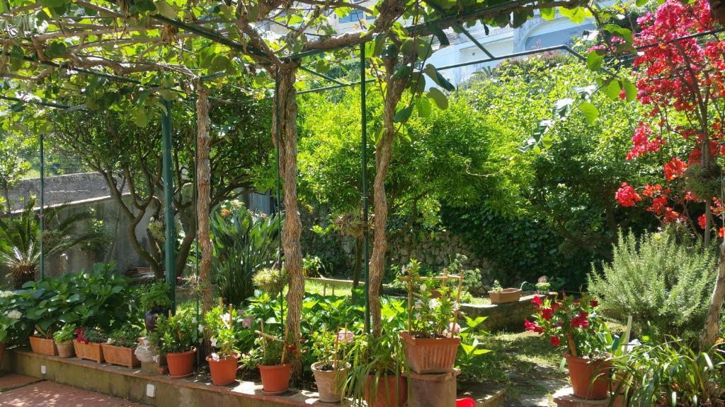 Villa Dei Fiori Bandb