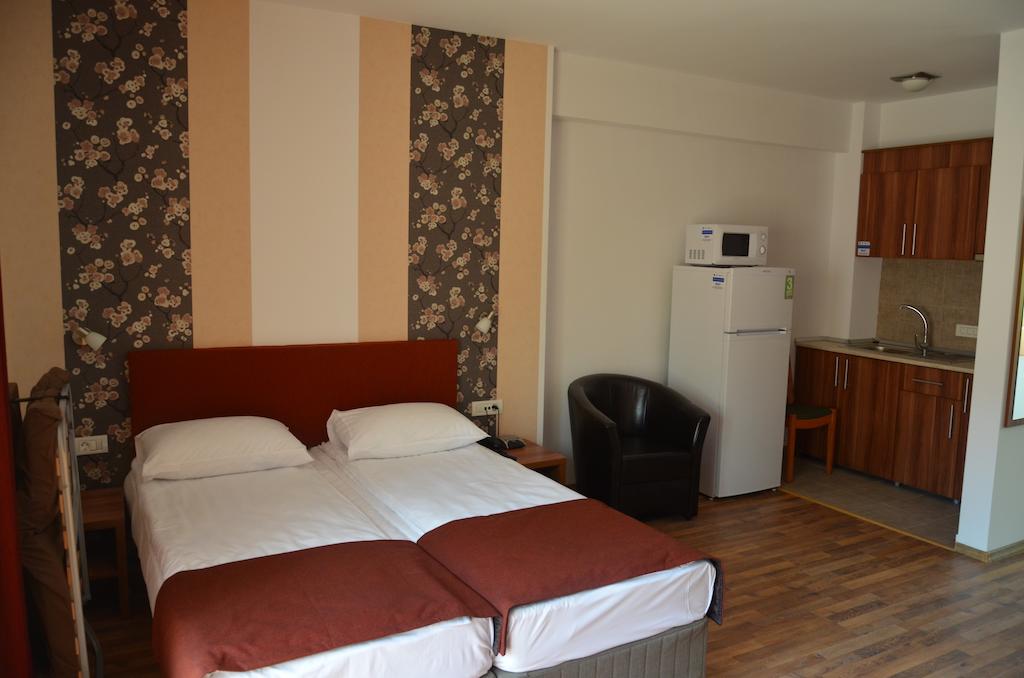 Hotel Vila Tisa - Ocnele Mari