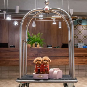 Hotel Hyatt Centric Melbourne cazare Melbourne