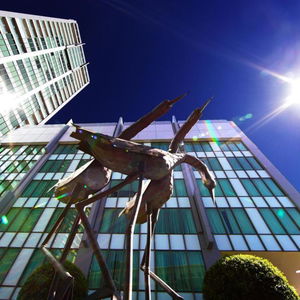 Hotel Seasons Botanic Gardens cazare Melbourne