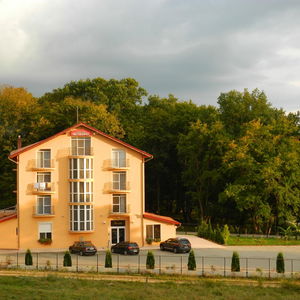 Hotel Vila Metropol cazare Baile Felix