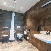 Hotel Aiden By Best Western Stadtgut Hotel Steyr cazare Steyr