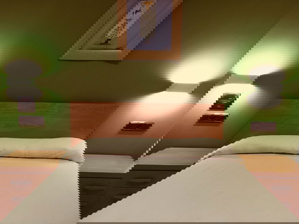 Hotel Hostal Meseguer