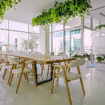 Hotel Zoya Health & Wellbeing Resort cazare Ajman