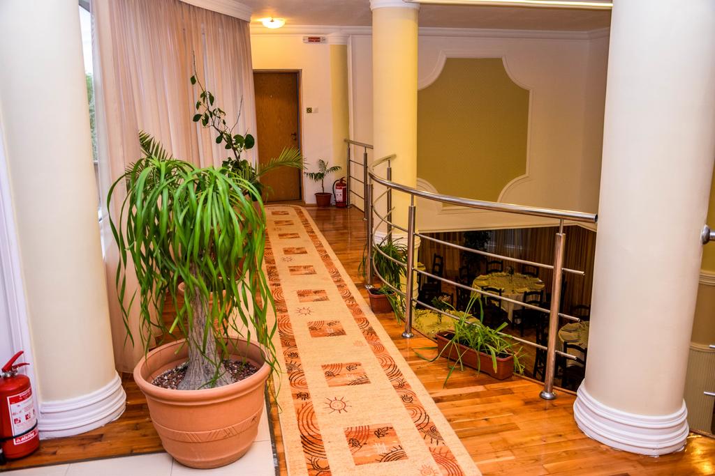 Hotel Vila Elisabeta