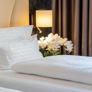 Hotel Plaza Inn Wiener Neustadt, Bw Signature Collection cazare Wiener Neustadt