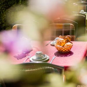 Hotel Hotel Steinfeld cazare Wiener Neustadt