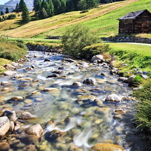 Hotel Vetta Alpine Relax cazare Livigno