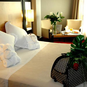 Sejur Sercotel Princesa De Eboli vacanta Madrid