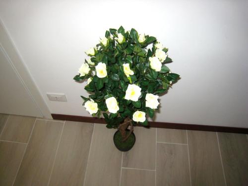 B&B Le Maschere Di Venezia